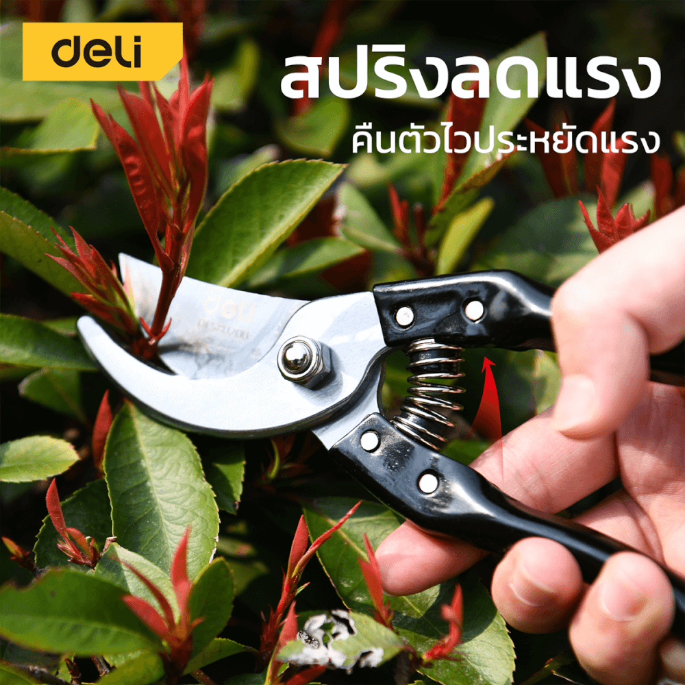 กรรไกรตัดกิ่ง DELI EDL580200-BK-01 8นิ้ว สีดำ